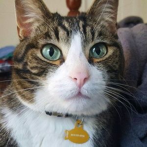 Meet your Posher, Eva